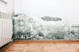 Moisissures sur un mur dans un logement mal ventilé